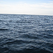 Picture 005